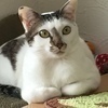 ゆうままさんのプロフィール画像