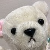 たすさんのプロフィール画像