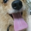 松野さんのプロフィール画像
