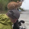 いもちゃんさんのプロフィール画像