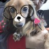 恋君さんのプロフィール画像