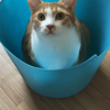 すっぴさんのプロフィール画像