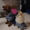 ひとみさんのプロフィール画像