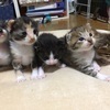 ハーナさんのプロフィール画像