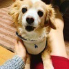 リムさんのプロフィール画像