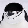 ゆう