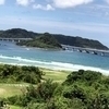 ぴっぴさんのプロフィール画像