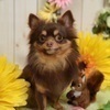 JB(江東区)さんのプロフィール画像