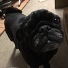 sachieさんのプロフィール画像