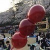 さくらさんのプロフィール画像
