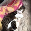 40chさんのプロフィール画像