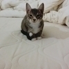 Ryo1114さんのプロフィール画像