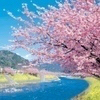 岐阜市大家さん😊さんのプロフィール画像