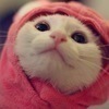 ピエトロさんのプロフィール画像
