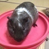 るなさんのプロフィール画像