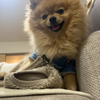 migeruさんのプロフィール画像