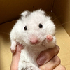 AKさんのプロフィール画像