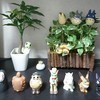 Ｎａｏｋｉさんのプロフィール画像