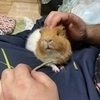 暁さんのプロフィール画像
