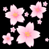 桜とらぶさんのプロフィール画像