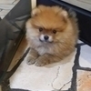 やまださんのプロフィール画像
