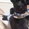 ひかる