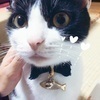 やまさんのプロフィール画像