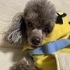 Mkm3kidsさんのプロフィール画像