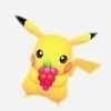 うさまるさんのプロフィール画像