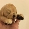 カナさんのプロフィール画像