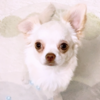 柚月さんのプロフィール画像