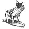 TOMさんのプロフィール画像