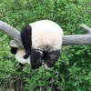ちと