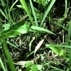 ルウ(プロフご確認)さんのプロフィール画像