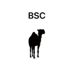 BSCさんのプロフィール画像