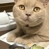 さーさんのプロフィール画像