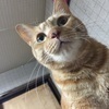 みんさんのプロフィール画像