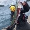 やっさん(*´∀`)さんのプロフィール画像