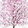のえるさんのプロフィール画像