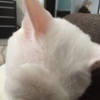 ヒロポンさんのプロフィール画像