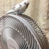 青ちゃんさんのプロフィール画像