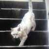 hideさんのプロフィール画像