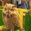 skenさんのプロフィール画像