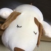 ପଓ*ೃぱせり*ஐさんのプロフィール画像