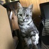 118iさんのプロフィール画像