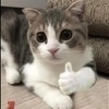 BJさんのプロフィール画像