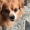 ゆいゆいさんのプロフィール画像
