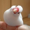 sora6さんのプロフィール画像
