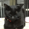 maさんのプロフィール画像