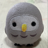 らすかるさんのプロフィール画像